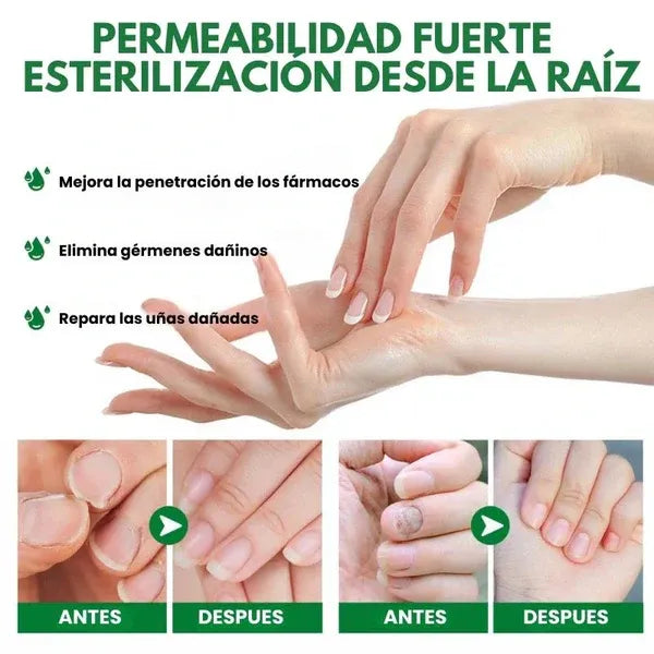 Encabezado