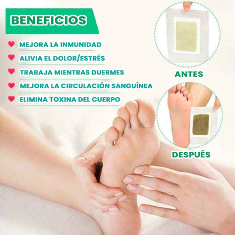Parches Detox Kinoki Para Pies x 30 Unidades | Mejora la Calidad del Sueño