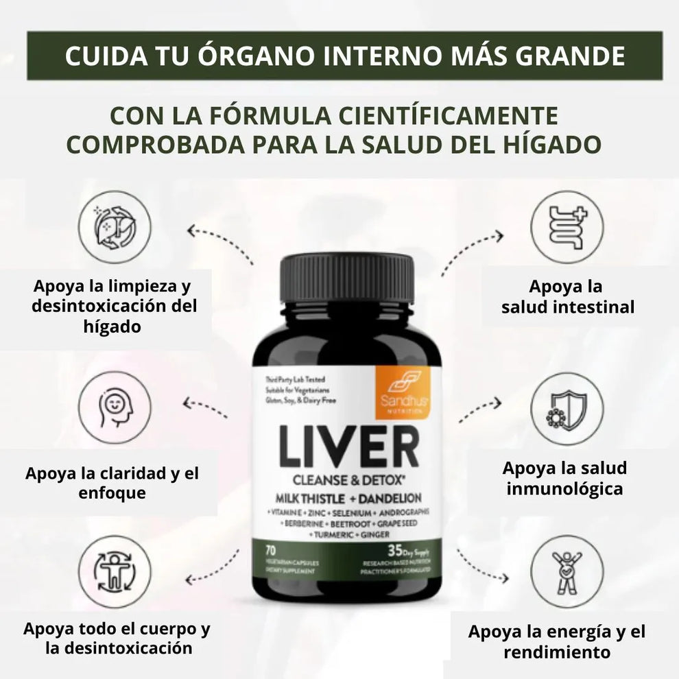 Encabezado