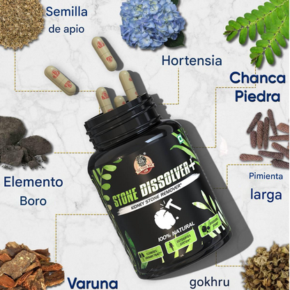 SUPLEMENTO RENAL 🔥Renueva Tus Riñones y Tu Vida 💧 Sin Cirugías Ni Dolor 😌